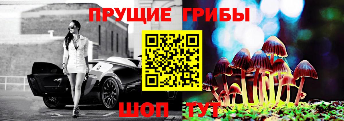 Галлюциногенные грибы GOLDEN TEACHER  Вход с VPN  Сочи 